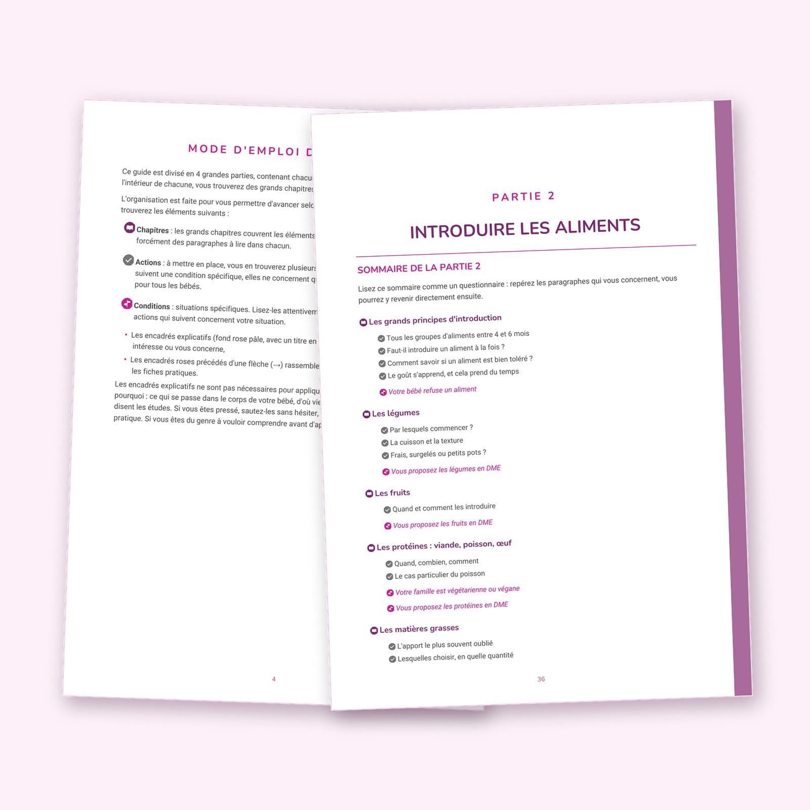 Aperçu du sommaire et d'une page du programme diversification